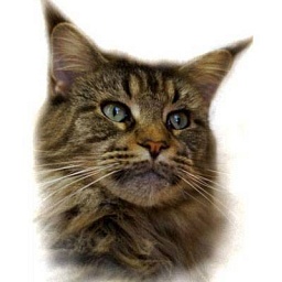 Paradise Garden Happy Holiday