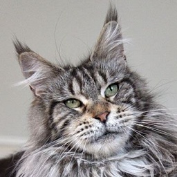 Country Gulliver's Alana Best