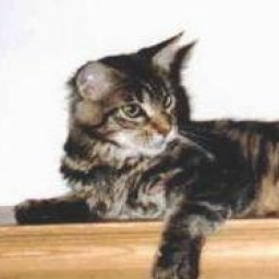 Hillside Susquehanna