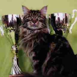 Love Hulen's Kiss Me Baby