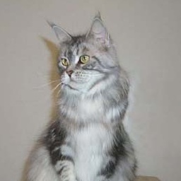 Willowplace Jessica James