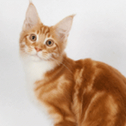 Chemicoons Wild Fire of Woodpile