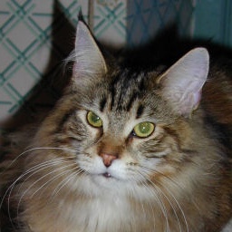 Wistariantale Saigon