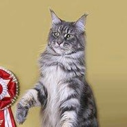 Love Hulen's Nirvana