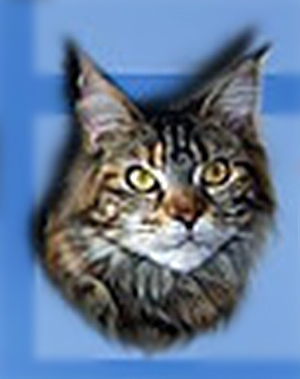 Bubble Cat Cabaret - мейн-кун