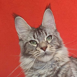 Wella Chavdar's Pride