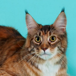 Helavisa of Ultramarin